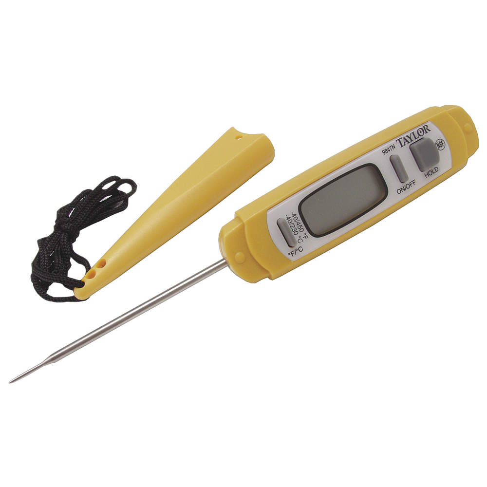 Food Thermometer (Aging Services)